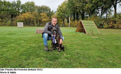 Afbeelding invoegen